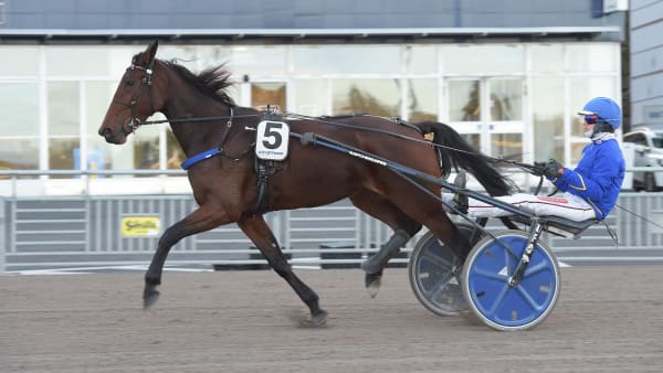 Foto: LARS JAKOBSSON / TR BILD