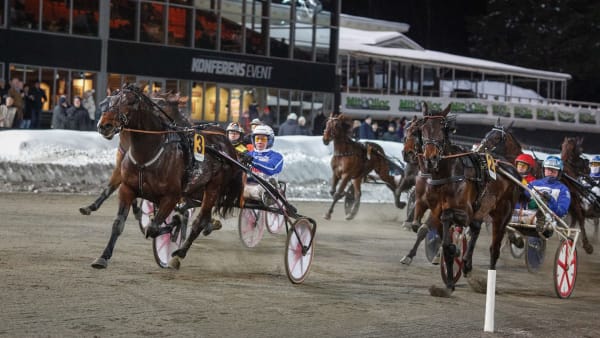 Foto: DAVID SCHREINER / TR BILD