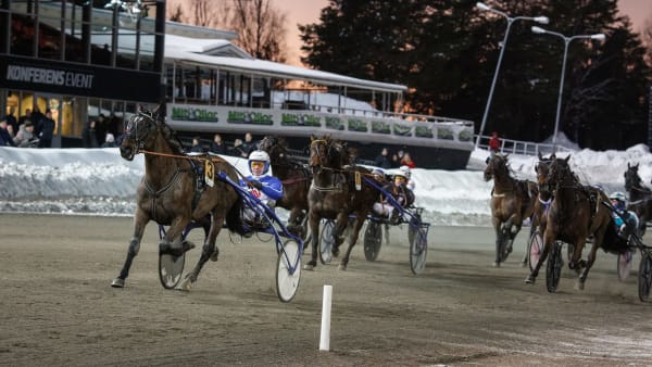 Foto: DAVID SCHREINER / TR BILD