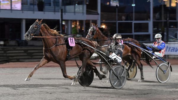 Foto: MALIN ALBINSSON / TR BILD