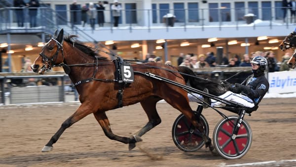 Foto: MALIN ALBINSSON / TR BILD