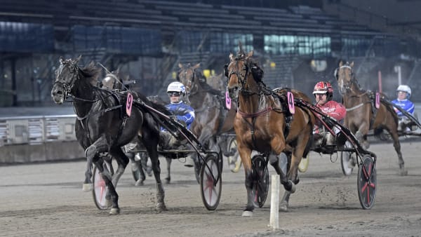 Foto: LARS JAKOBSSON / TR BILD