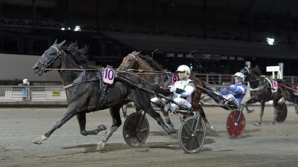 Foto: LARS JAKOBSSON / TR BILD