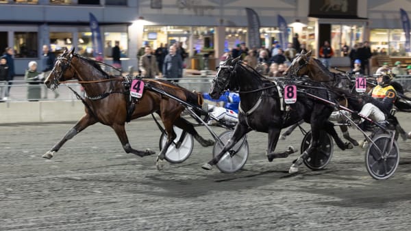 Foto: LENA EMMOTH / TR BILD