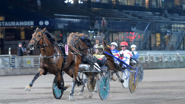 Ready Star · Senaste nyheterna om trav · Travronden