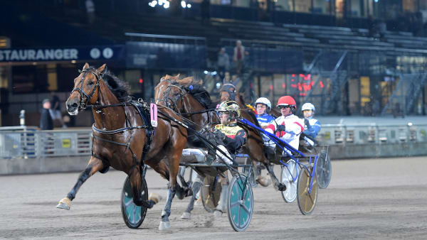 Foto: LARS JAKOBSSON / TR BILD