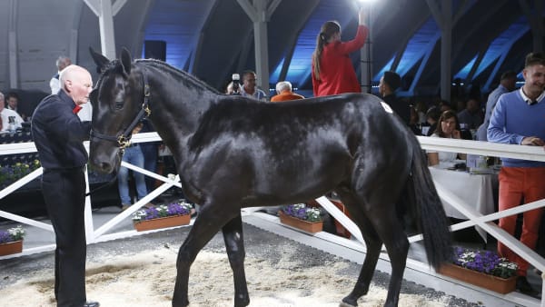 Foto: MATILDA ÖHRMAN / TR BILD