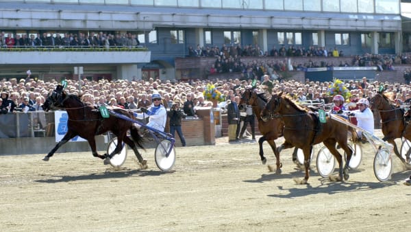 Foto: MARTIN LANGELS / ALN / TR BILD