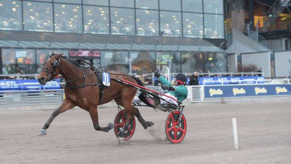Foto: LARS JAKOBSSON / TR BILD