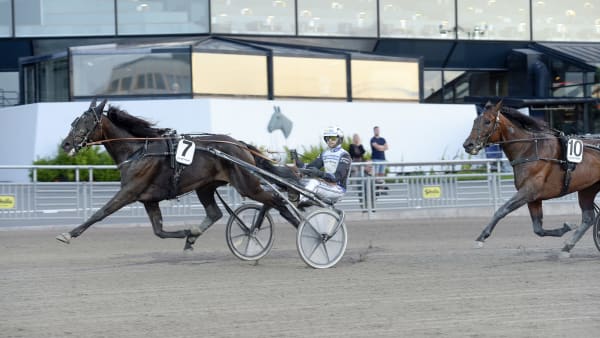 Foto: LARS JAKOBSSON / TR BILD