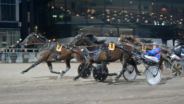 Foto: LARS JAKOBSSON / TR BILD