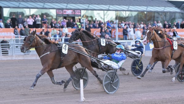 Foto: LARS JAKOBSSON / TR BILD