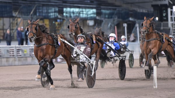 Foto: LARS JAKOBSSON / TR BILD