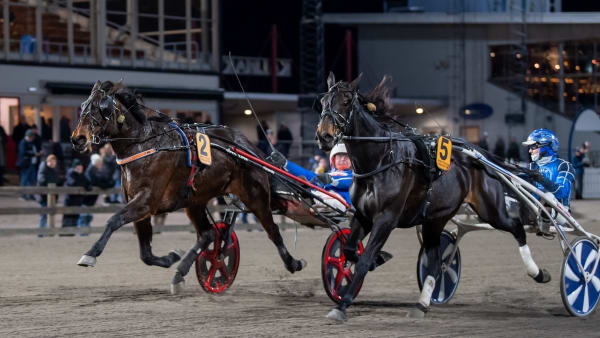 Foto: MIKAEL ROSENQUIST / TR BILD