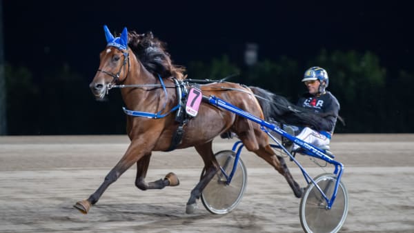 Foto: MIKAEL ROSENQUIST / TR BILD