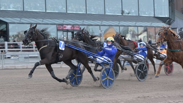 Foto: LARS JAKOBSSON / TR BILD