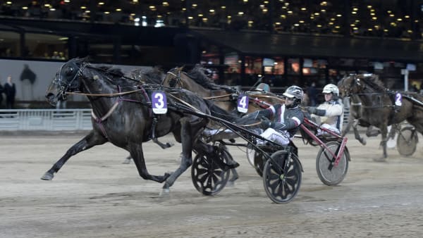 Foto: LARS JAKOBSSON / TR BILD