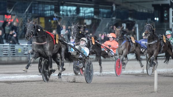 Foto: LARS JAKOBSSON / TR BILD