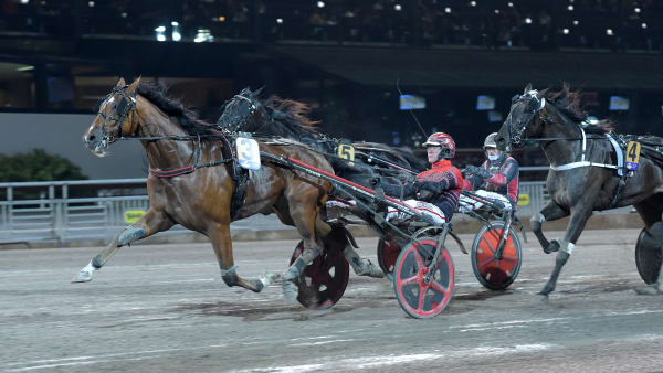 Foto: LARS JAKOBSSON / TR BILD