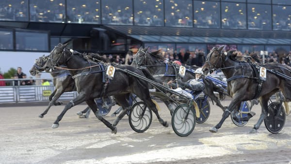 Foto: LARS JAKOBSSON / TR BILD