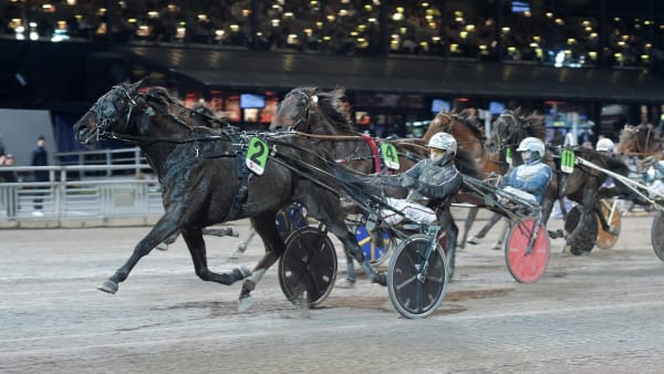 Foto: LARS JAKOBSSON / TR BILD