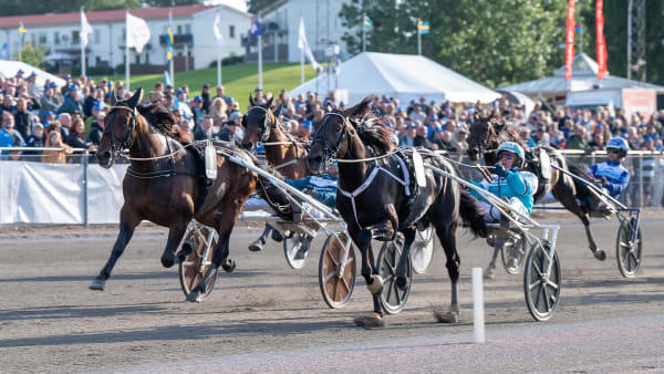 Foto: MIKAEL ROSENQUIST / TR BILD