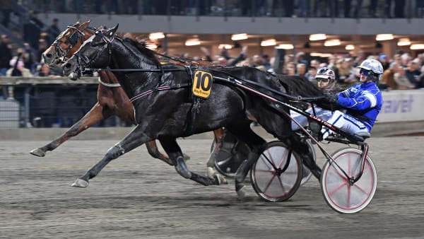 Foto: MALIN ALBINSSON / TR BILD