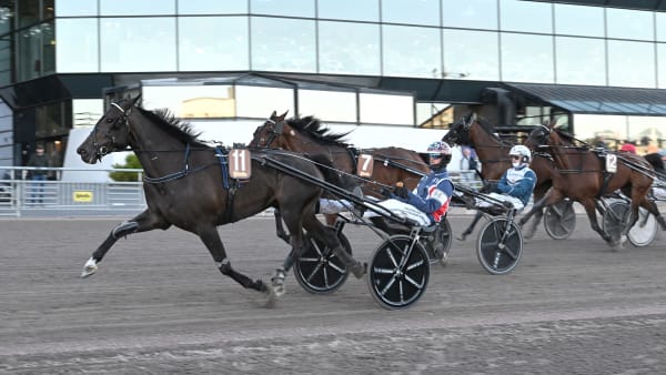 Foto: LARS JAKOBSSON / TR BILD