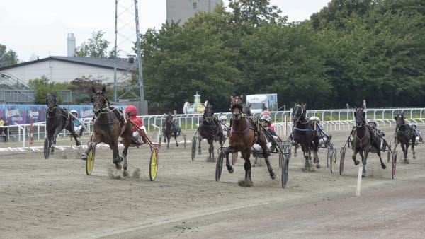 Foto: LARS JAKOBSSON / TR BILD