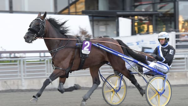 Foto: LARS JAKOBSSON / TR BILD