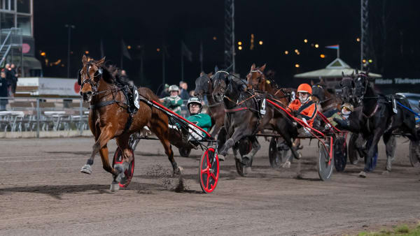 Foto: MIKAEL ROSENQUIST / TR BILD