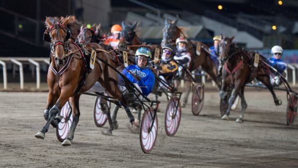 Foto: MIKAEL ROSENQUIST / TR BILD