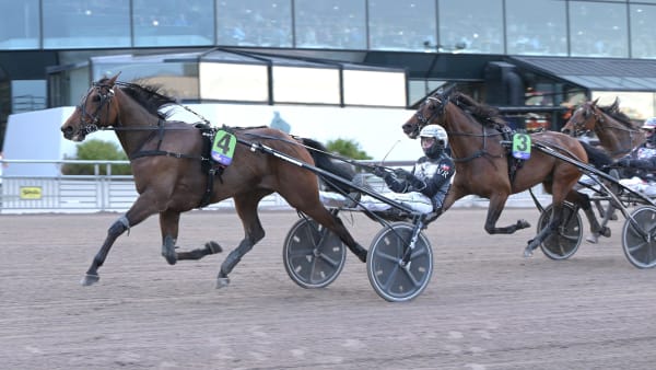 Foto: LARS JAKOBSSON / TR BILD