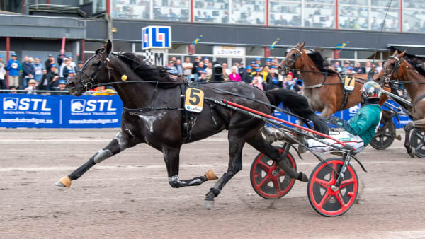 Foto: MIKAEL ROSENQUIST / TR BILD