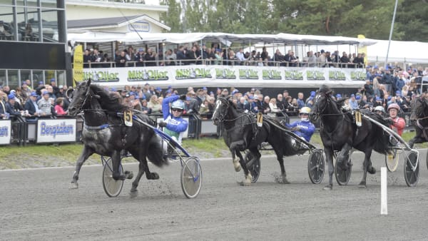 Foto: LARS JAKOBSSON/TR BILD