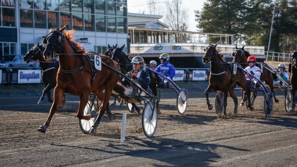 Foto: DAVID SCHREINER / TR BILD