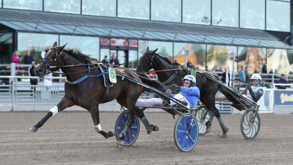 Foto: MARIA HOLMÉN / TR BILD