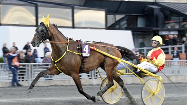 Foto: LARS JAKOBSSON / TR BILD