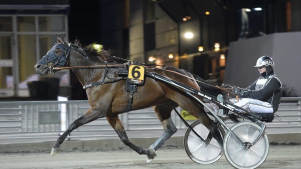 Foto: LARS JAKOBSSON / TR BILD