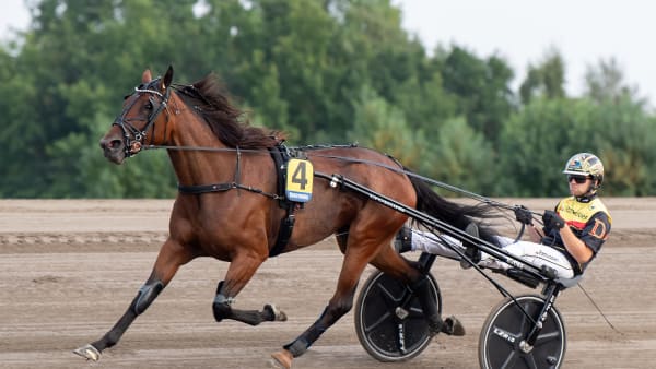 Foto: MIKAEL ROSENQUIST / TR BILD