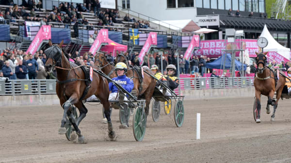 Foto: LARS JAKOBSSON / TR BILD