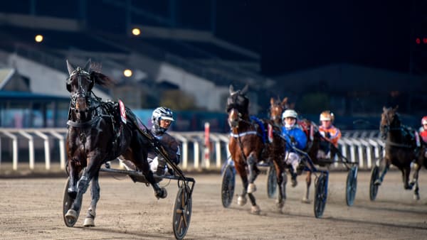 Foto: MIKAEL ROSENQUIST/TR BILD