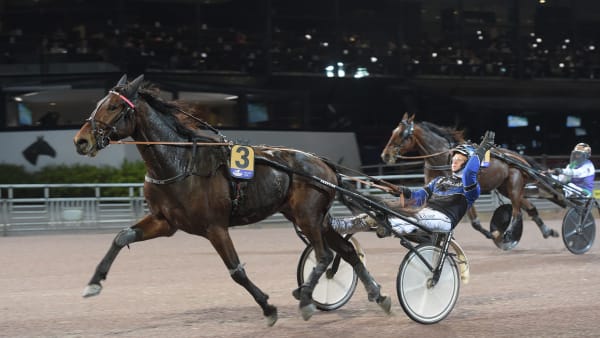 Foto: LARS JAKOBSSON / TR BILD