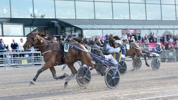 Foto: LARS JAKOBSSON / TR BILD