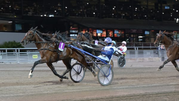 Foto: LARS JAKOBSSON / TR BILD