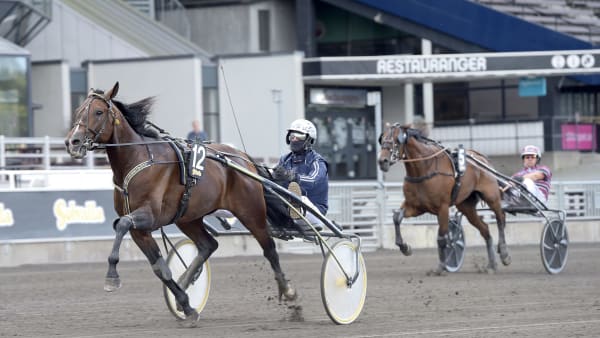 Foto: LARS JAKOBSSON / TR BILD