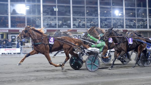 Foto: LARS JAKOBSSON / TR BILD