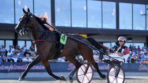 Foto: MALIN ALBINSSON / TR BILD