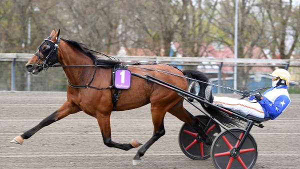 Foto: MALIN ALBINSSON / TR BILD