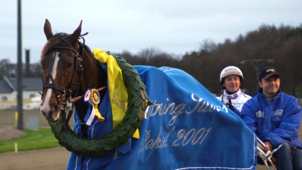 Foto: LARS JAKOBSSON / TR BILD